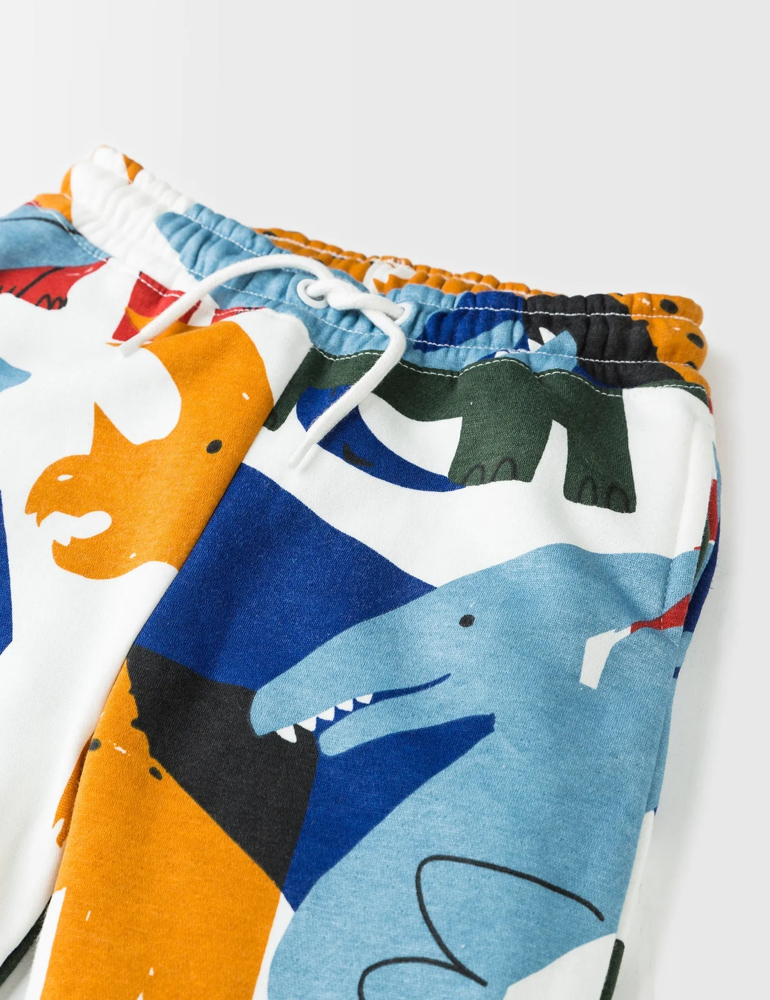 Dinosaures Jogger Pants